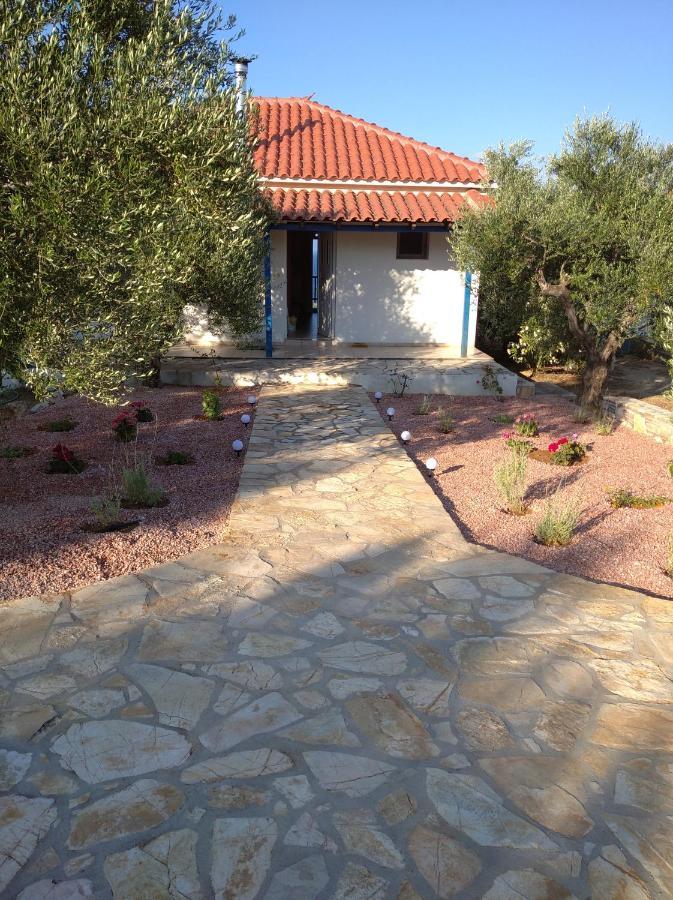 فيلا Aggeliki House 5 Kómboi المظهر الخارجي الصورة