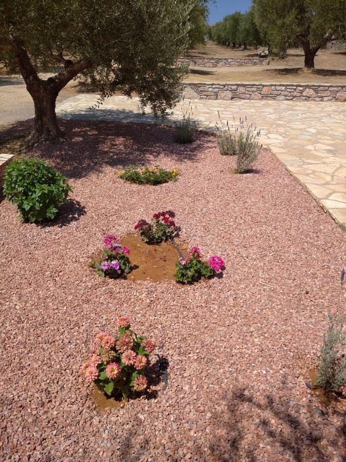 فيلا Aggeliki House 5 Kómboi المظهر الخارجي الصورة